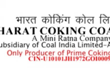 PESB Picks Anand for Director (Technical) Post at Bharat Coking Coal Limited