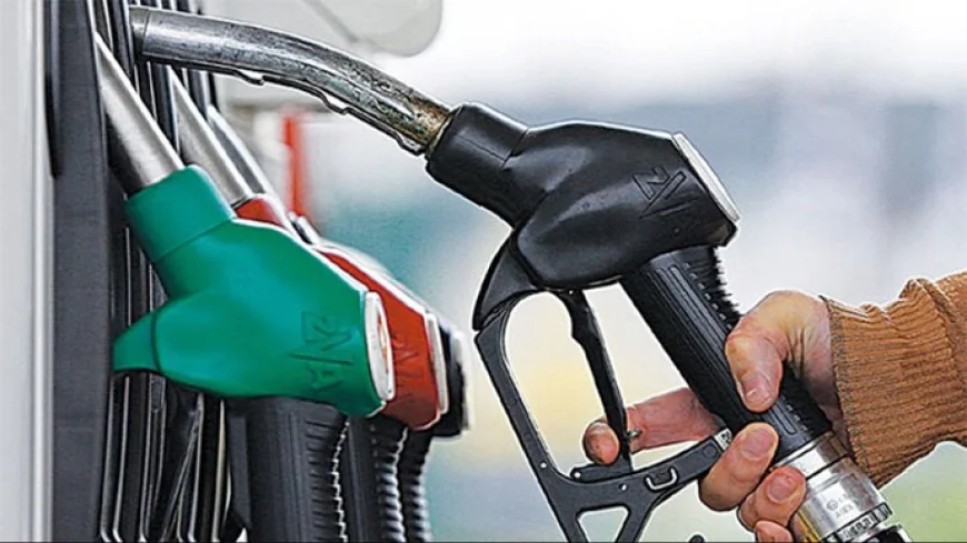 Government Rules Out OMC Bailout Even as State Oil Firms Bleed on Petrol, Diesel, and ATF Pricing